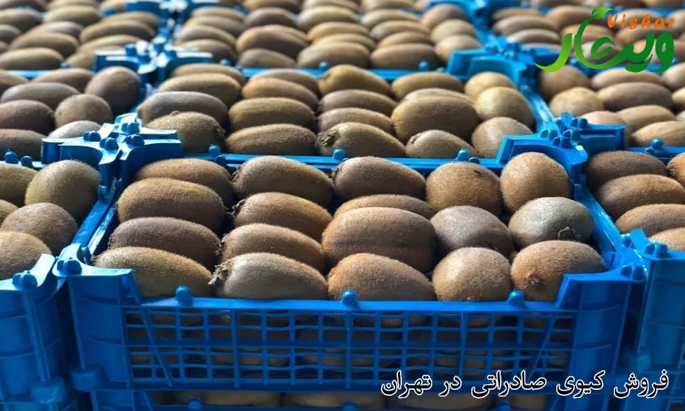 فروش کیوی صادراتی در تهران