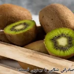 خرید کیوی صادراتی تنکابن با بهترین قیمت