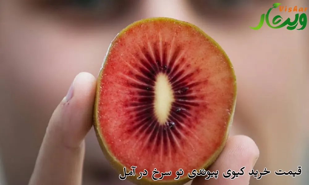 قیمت خرید کیوی پیوندی تو سرخ در آمل