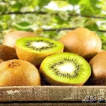 قیمت کیوی در گیلان